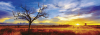 Puzzle: Dub pri západe slnka (panorama) 1000