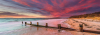 Puzzle: Pláž McCrae, Autrálie (panorama) 1000