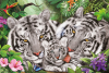 Puzzle: Tigria rodina 150