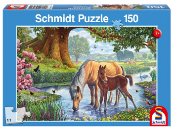 Puzzle: Horses in the river 150 