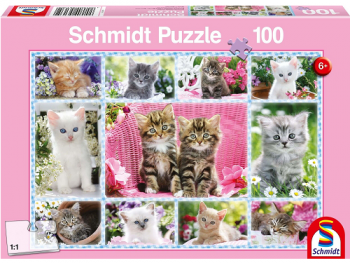 Puzzle: Koťata 100