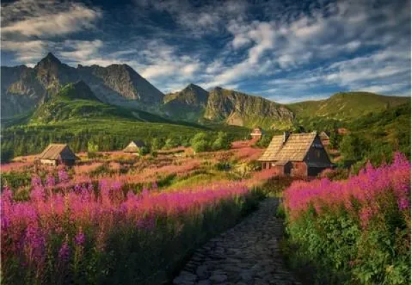 Puzzle: Gasienicova dolina 1000